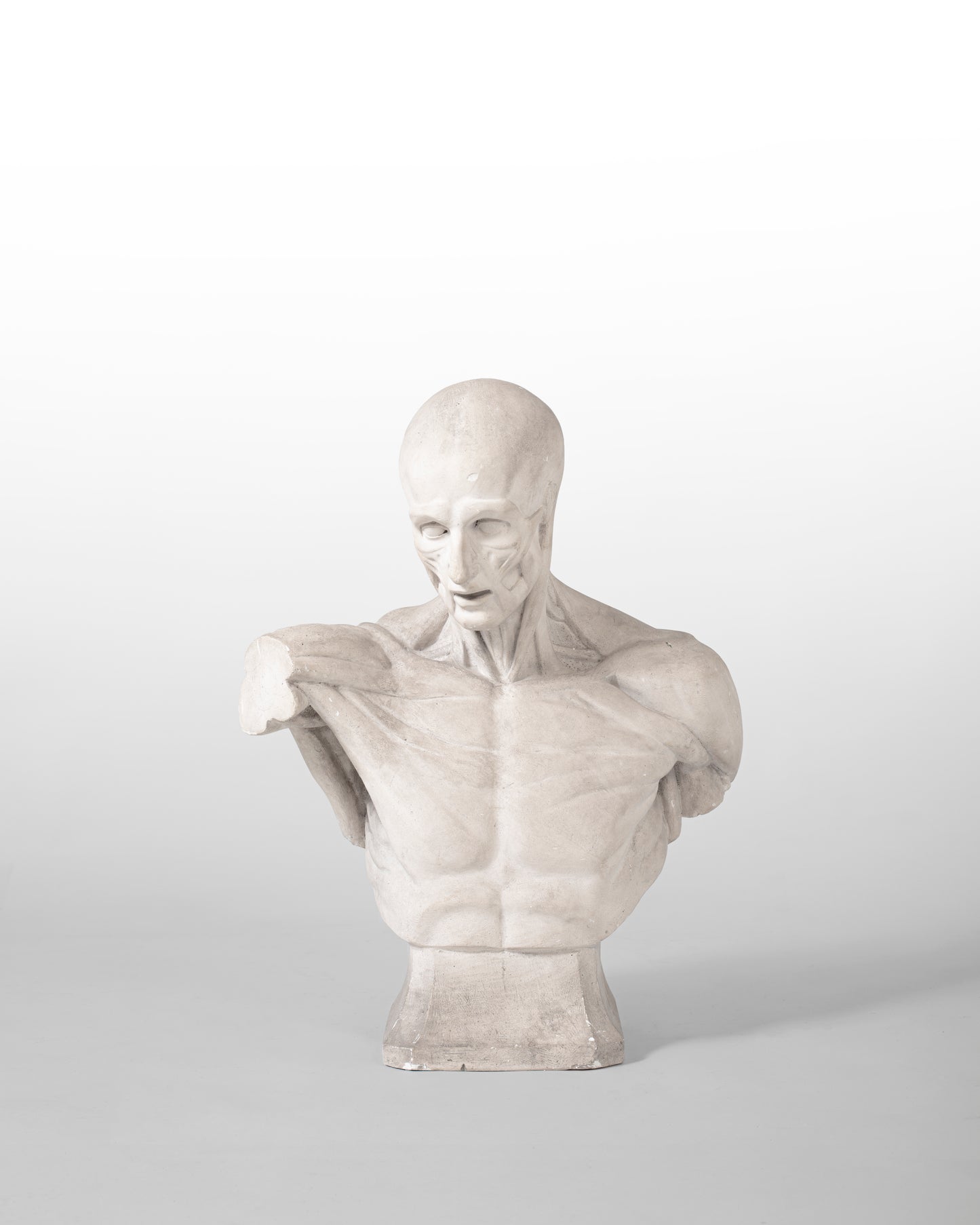 BUSTE ANATOMIQUE DIT "ÉCORCHÉ", EN PLÂTRE, XIX SIÈCLE