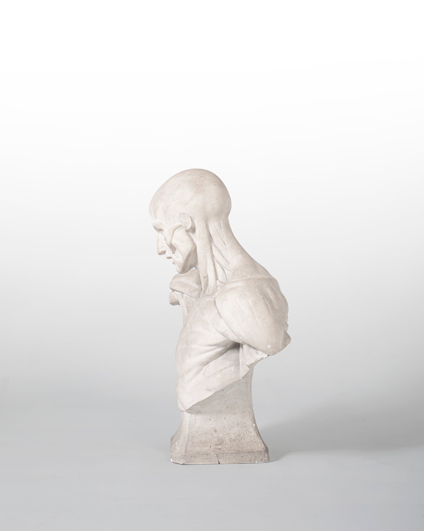 BUSTE ANATOMIQUE DIT "ÉCORCHÉ", EN PLÂTRE, XIX SIÈCLE