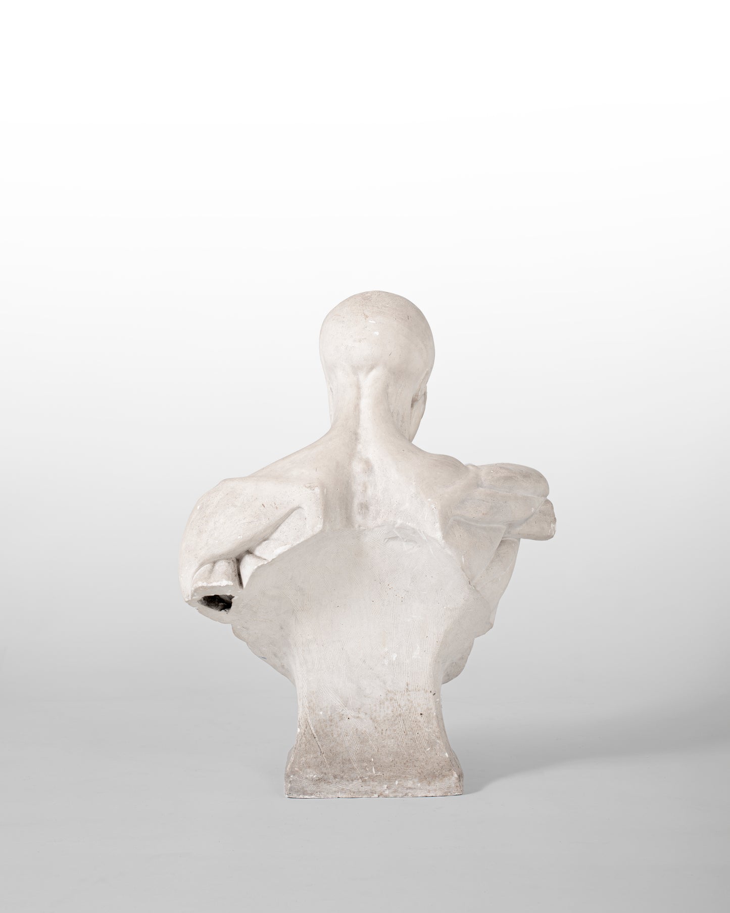 BUSTE ANATOMIQUE DIT "ÉCORCHÉ", EN PLÂTRE, XIX SIÈCLE