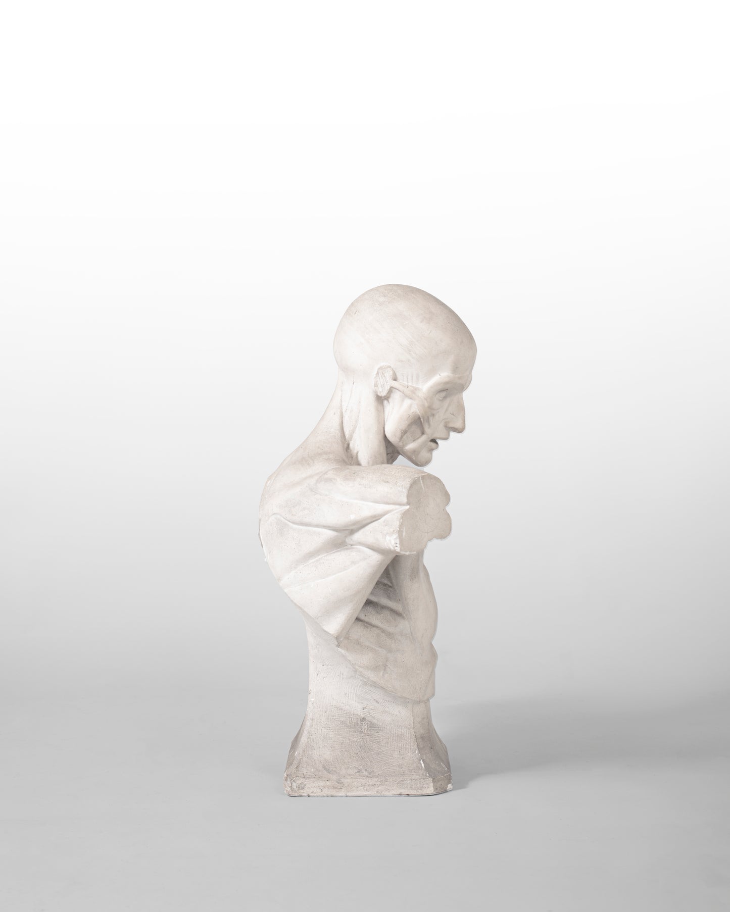 BUSTE ANATOMIQUE DIT "ÉCORCHÉ", EN PLÂTRE, XIX SIÈCLE